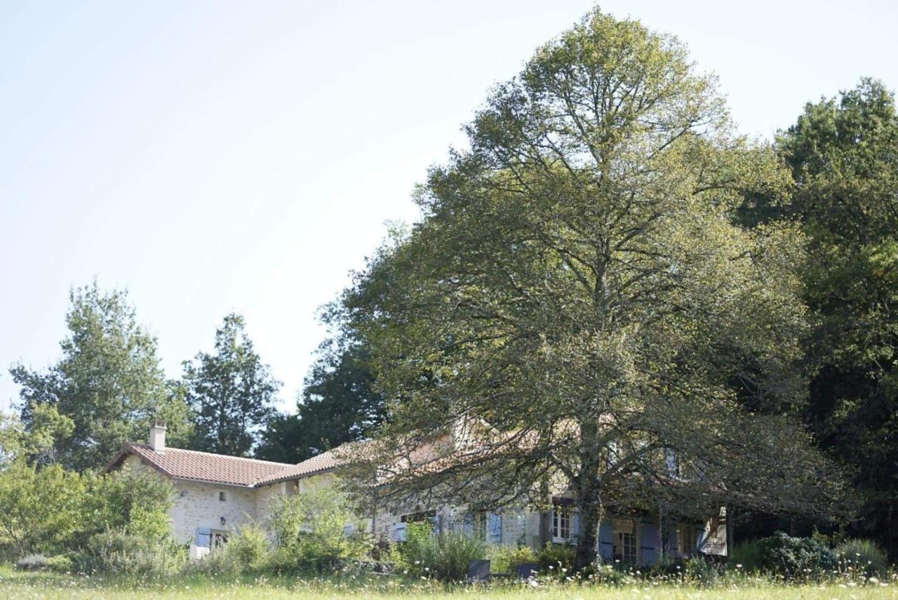 Mabelle Reve B&B Saint-Pierre-de-Côle Zewnętrze zdjęcie