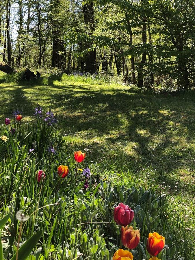 Mabelle Reve B&B Saint-Pierre-de-Côle Zewnętrze zdjęcie