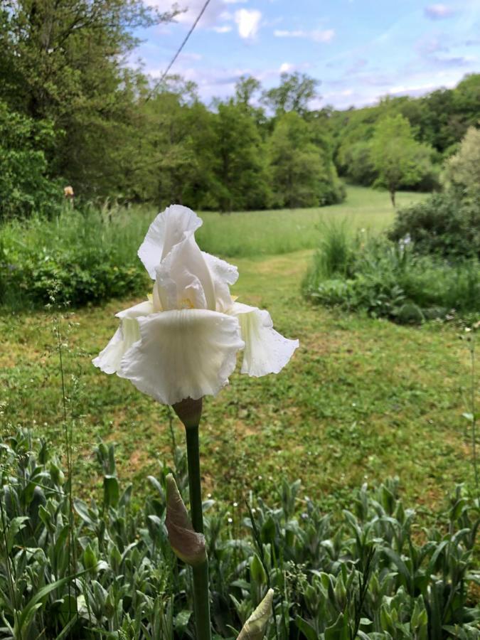 Mabelle Reve B&B Saint-Pierre-de-Côle Zewnętrze zdjęcie